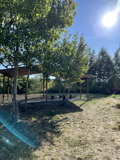 A-Frames (Canada, Luskville, Quebec)