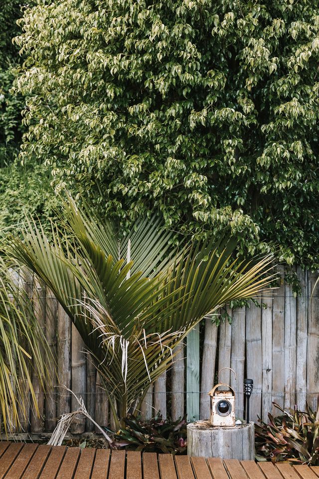 Gorgeous Bell Tent with Stunning Views of the Pongakawa Hills and Ocean near Tauranga, New Zealand