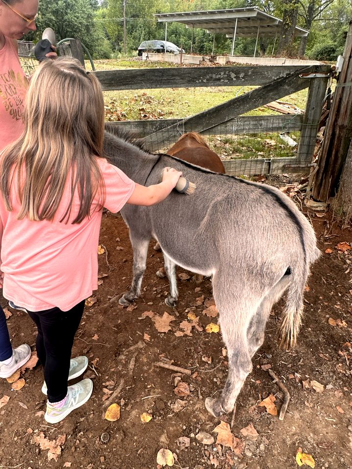 Charming Cozy Farmhouse with Animals for an Amazing Family Getaway near Hot Springs, Arkansas