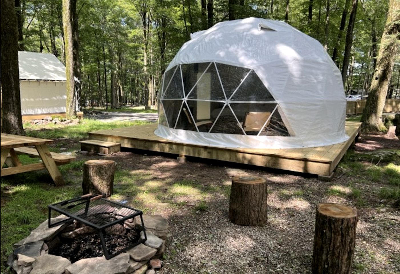 Amazing Dome Surrounded by Trees for a Relaxing Glamping Getaway near Greentown, Pennsylvania