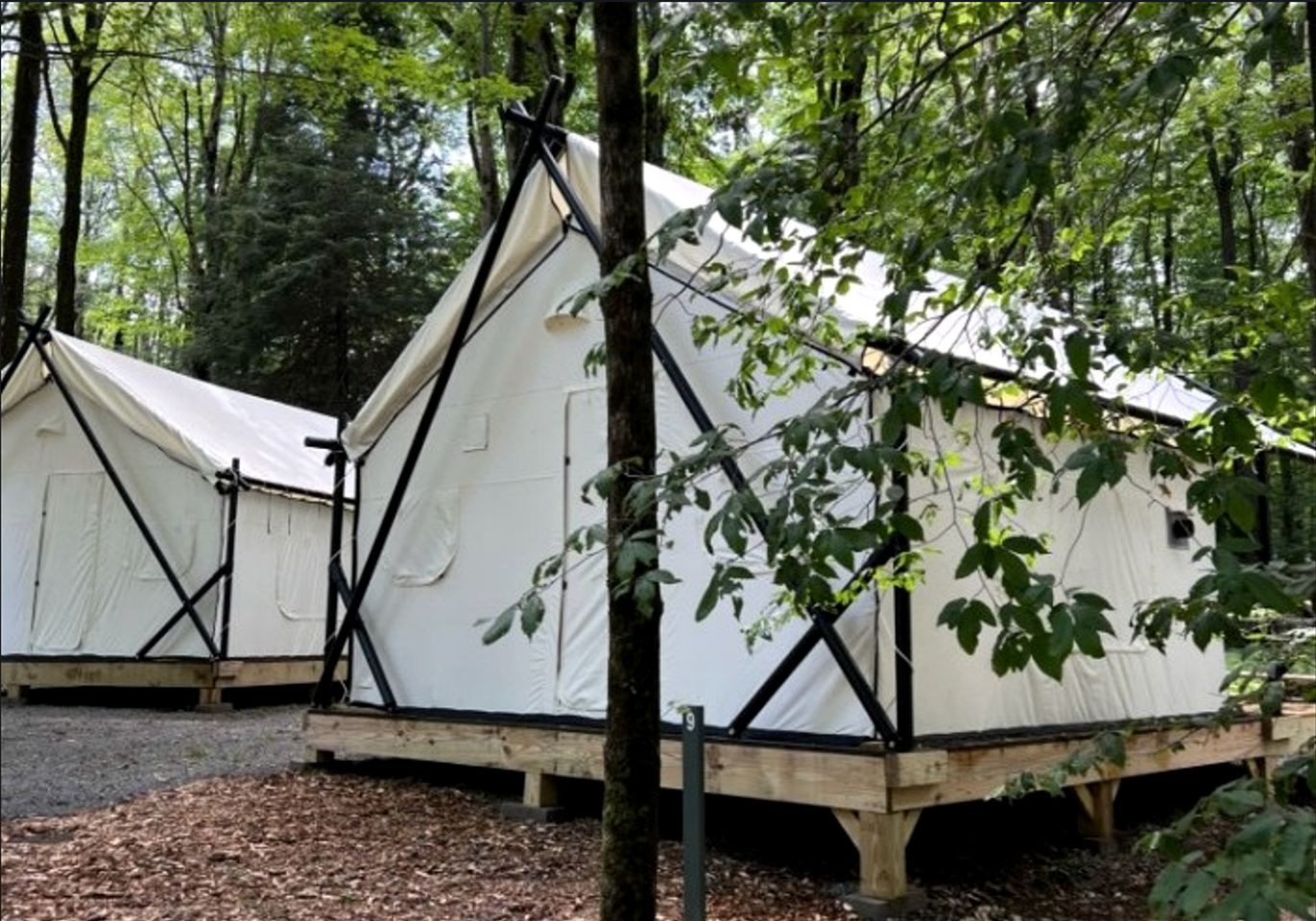 Gorgeous Safari Tent Surrounded by Nature for a Peaceful Glamping Getaway neat Greentown, Pennsylvania