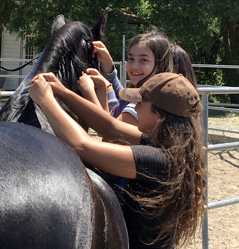 Cozy Rustic Cabin on a Working Horse Ranch for a Unique Getaway in Granite Bay, California