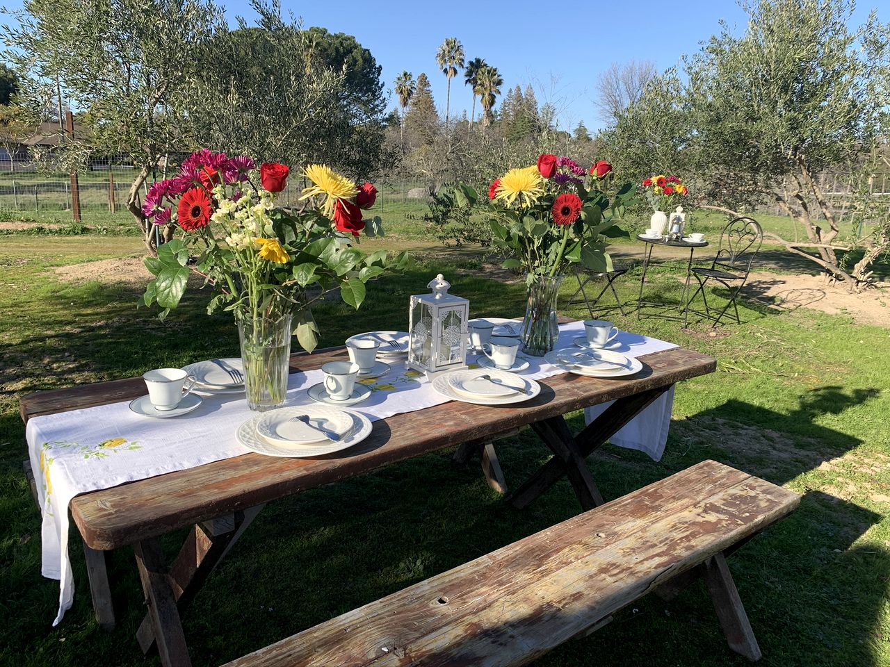 Cozy Rustic Cabin on a Working Horse Ranch for a Unique Getaway in Granite Bay, California
