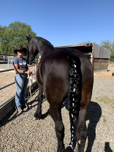 Cabins (United States of America, Granite Bay, California)