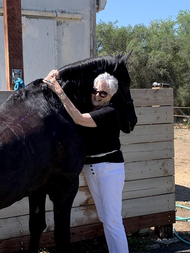 Cabins (United States of America, Granite Bay, California)
