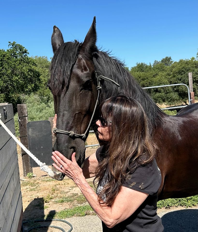 Cozy Rustic Cabin on a Working Horse Ranch for a Unique Getaway in Granite Bay, California