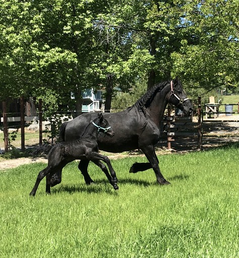 Cabins (United States of America, Granite Bay, California)