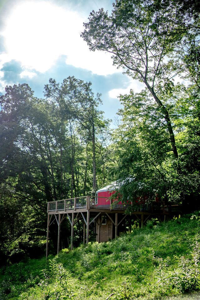 Gorgeous Yurt on a Beautiful Farm with Incredible Views for a Unique Glamping Getaway near North Tazewell, Virginia