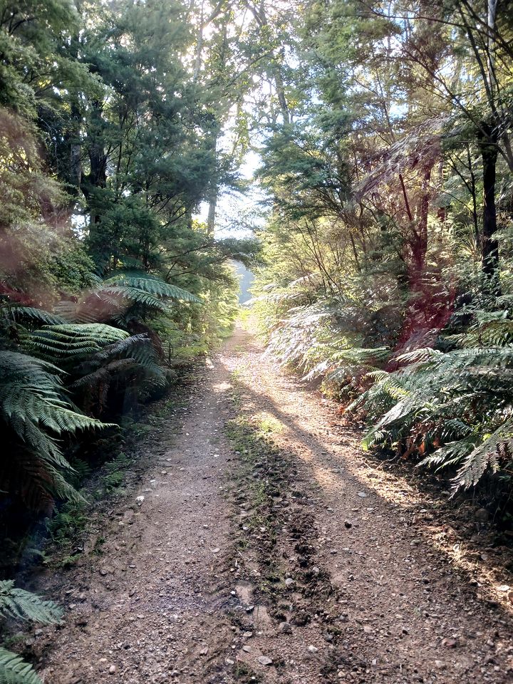 Incredible Off-Grid Cabin with Breathtaking Views for a Peaceful Escape in Nature near Whangarei, New Zealand