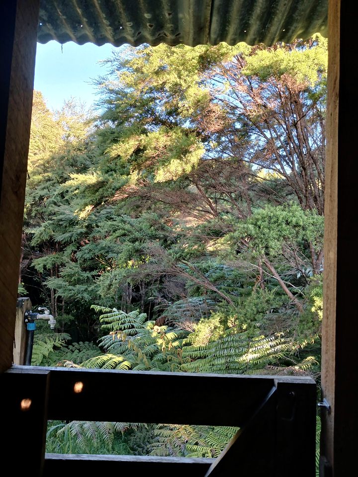 Incredible Off-Grid Cabin with Breathtaking Views for a Peaceful Escape in Nature near Whangarei, New Zealand