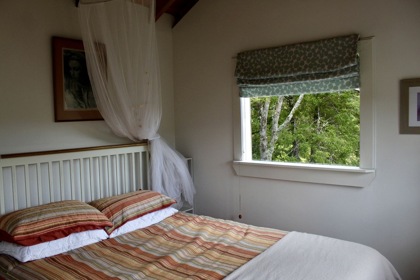 Incredible Off-Grid Cabin with Breathtaking Views for a Peaceful Escape in Nature near Whangarei, New Zealand