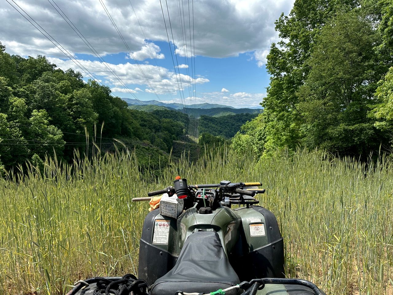 Gorgeous Cozy Yurt for a Unique Romantic Glamping Experience near Cullowhee, North Carolina
