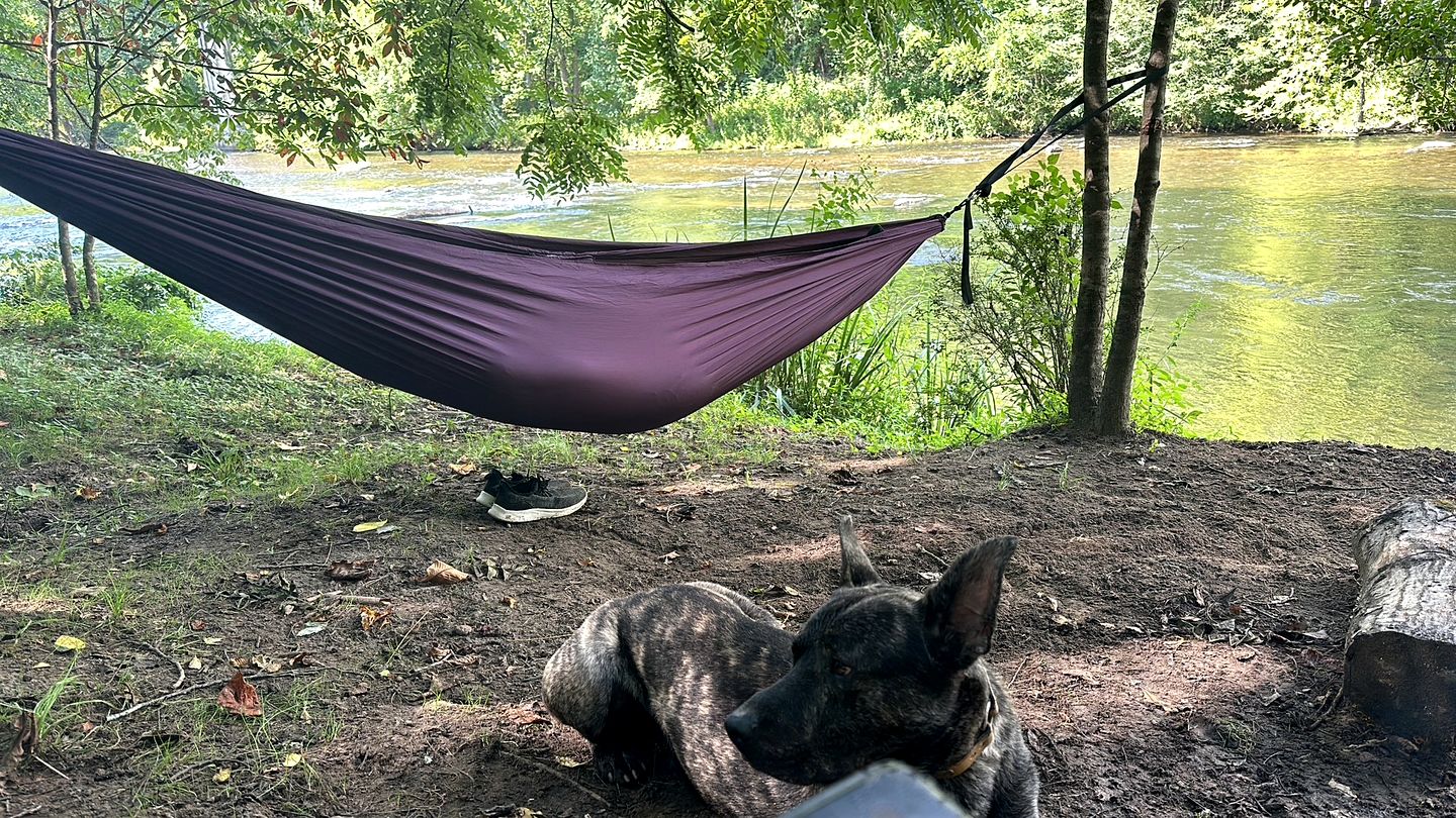 Gorgeous Cozy Yurt for a Unique Romantic Glamping Experience near Cullowhee, North Carolina