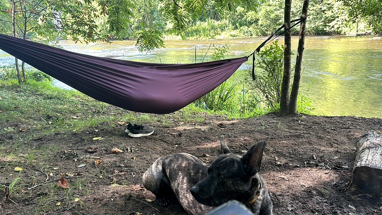 Yurts (United States of America, Cullowhee, North Carolina)