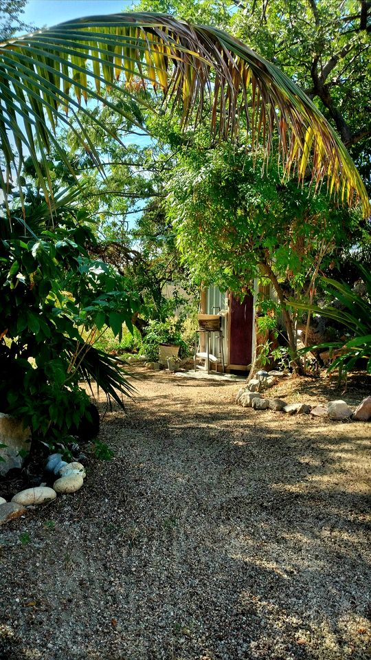 Unique Surf Camp Cabin for an Unforgettable Getaway Surrounded by Nature near San José del Cabo, Mexico