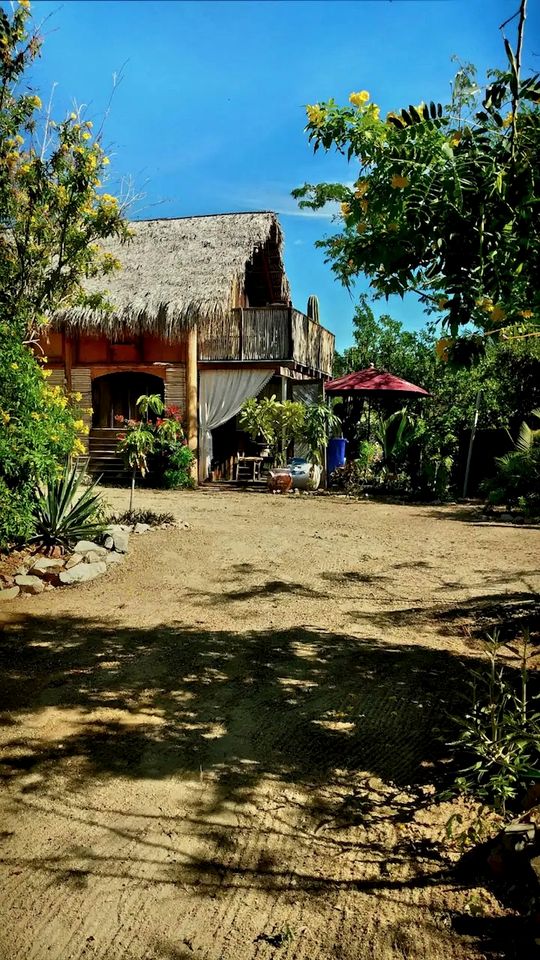 Unique Surf Camp Cabin for an Unforgettable Getaway Surrounded by Nature near San José del Cabo, Mexico