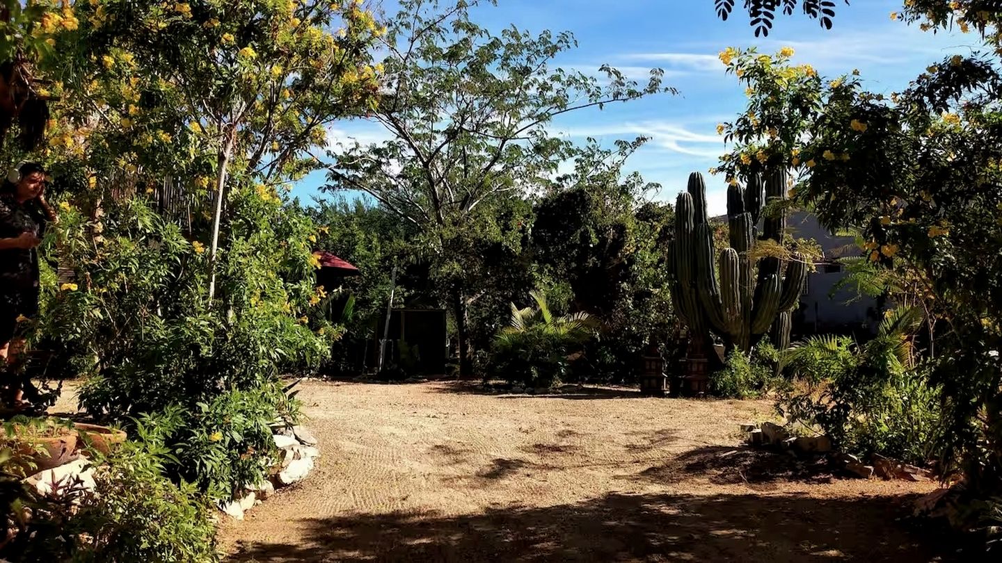 Unique Surf Camp Cabin for an Unforgettable Getaway Surrounded by Nature near San José del Cabo, Mexico