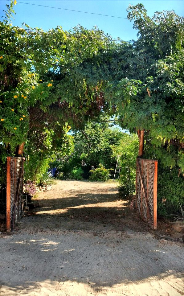 Unique Surf Camp Cabin for an Unforgettable Getaway Surrounded by Nature near San José del Cabo, Mexico