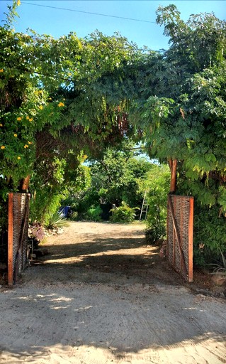 Cabins (Mexico, San José del Cabo, Baja California Sur)