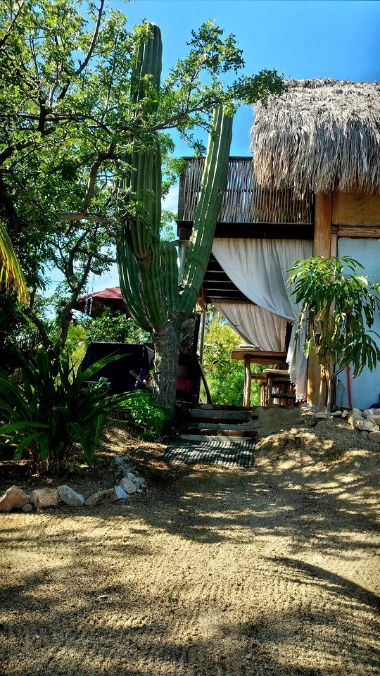 Unique Surf Camp Cabin for an Unforgettable Getaway Surrounded by Nature near San José del Cabo, Mexico