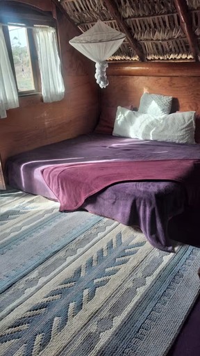 Cabins (Mexico, San José del Cabo, Baja California Sur)