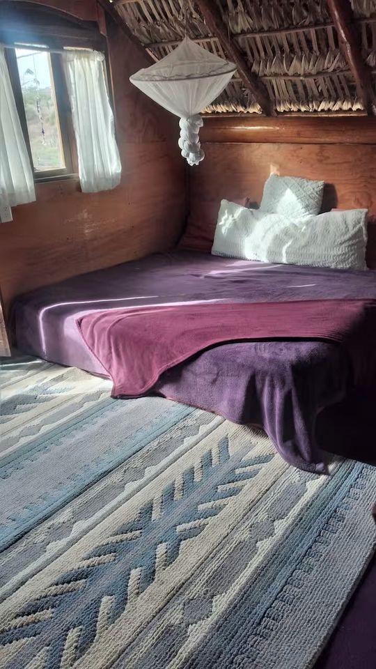 Unique Surf Camp Cabin for an Unforgettable Getaway Surrounded by Nature near San José del Cabo, Mexico