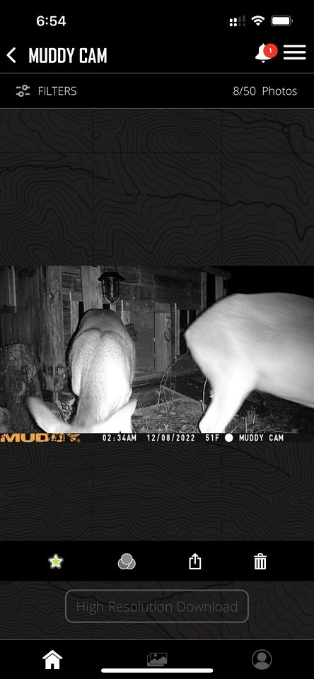 Charming Lodge Suite for Four with Fishing and Hiking for an Amazing Family Vacation near Kingston, Oklahoma