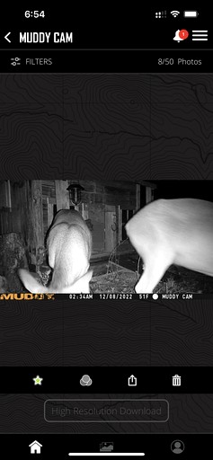 Vacation Rentals (United States of America, Kingston, Oklahoma)