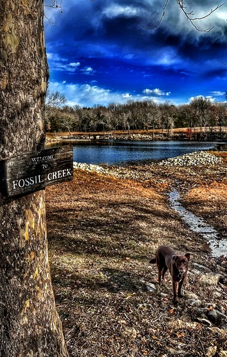 4 Person Lodge | Vacation Rentals (Kingston, Oklahoma, United States of America)