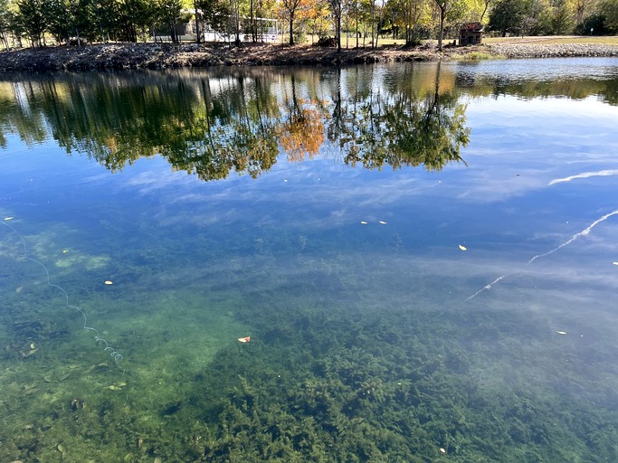 4 Person Lodge | Vacation Rentals (Kingston, Oklahoma, United States of America)