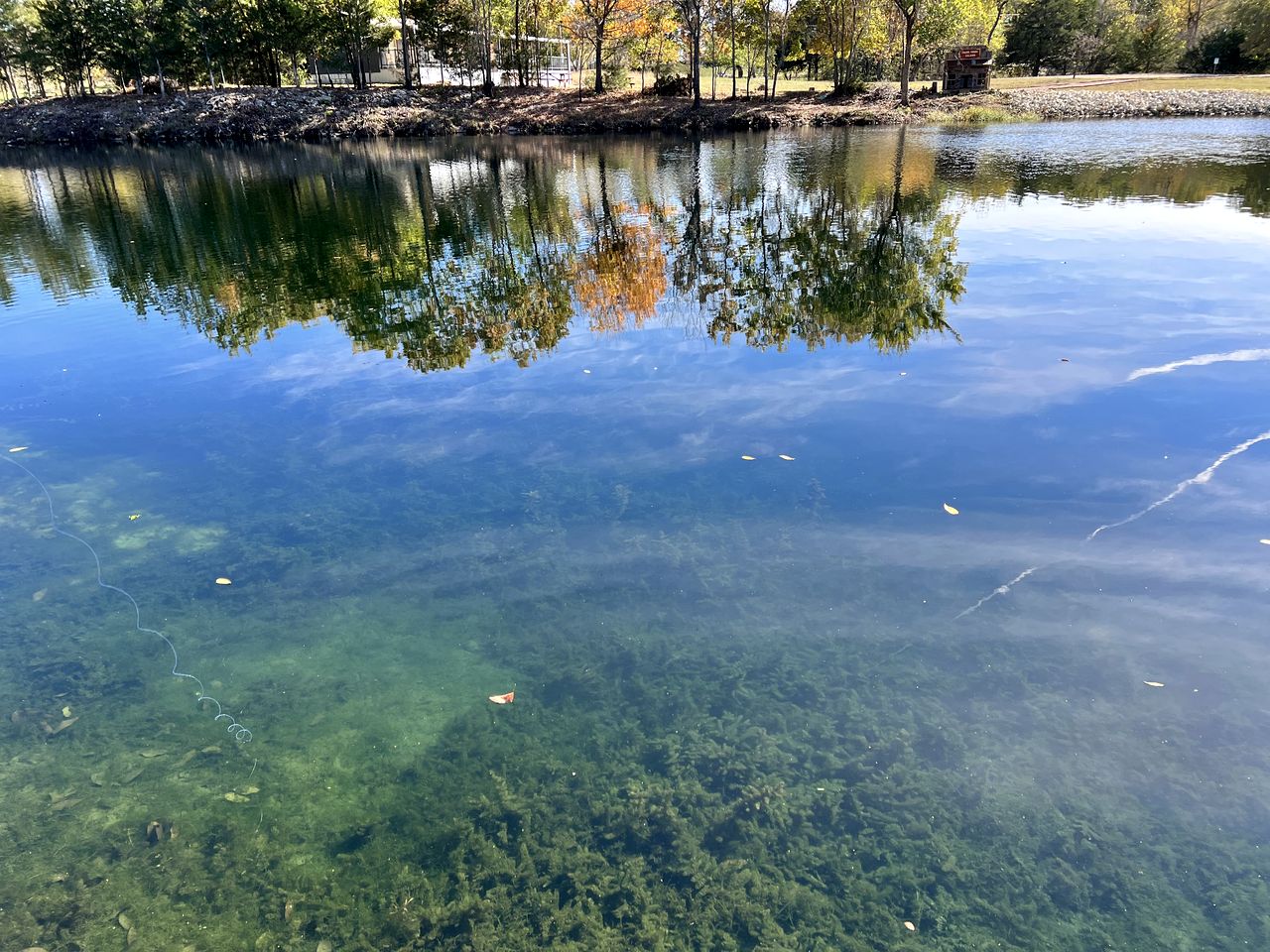 Charming Lodge Suite for Four with Fishing and Hiking for an Amazing Family Vacation near Kingston, Oklahoma