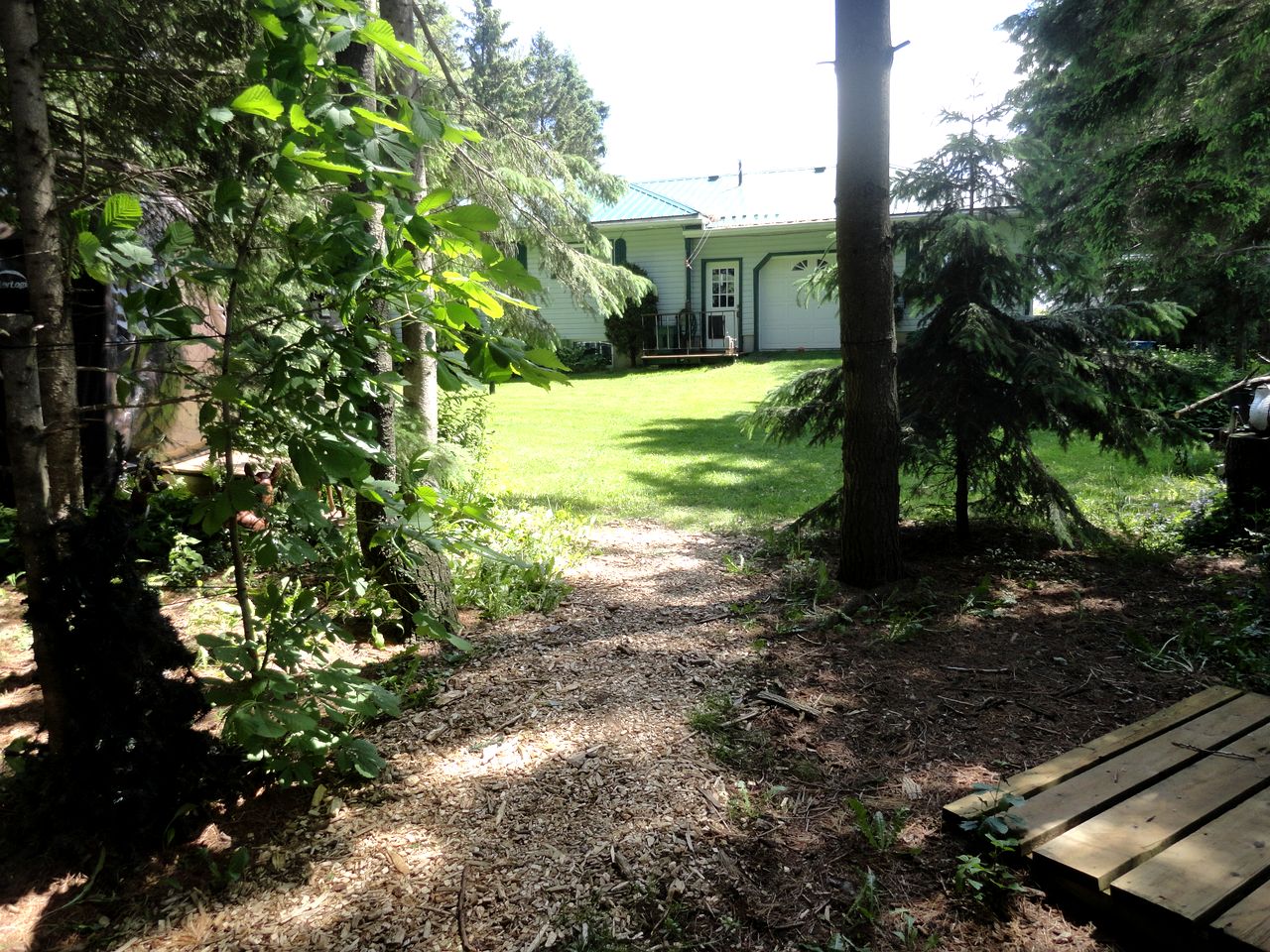 Cute Cozy Tiny House Surrounded by Trees for a Unique Couples Escape in Mt Forest, Ontario