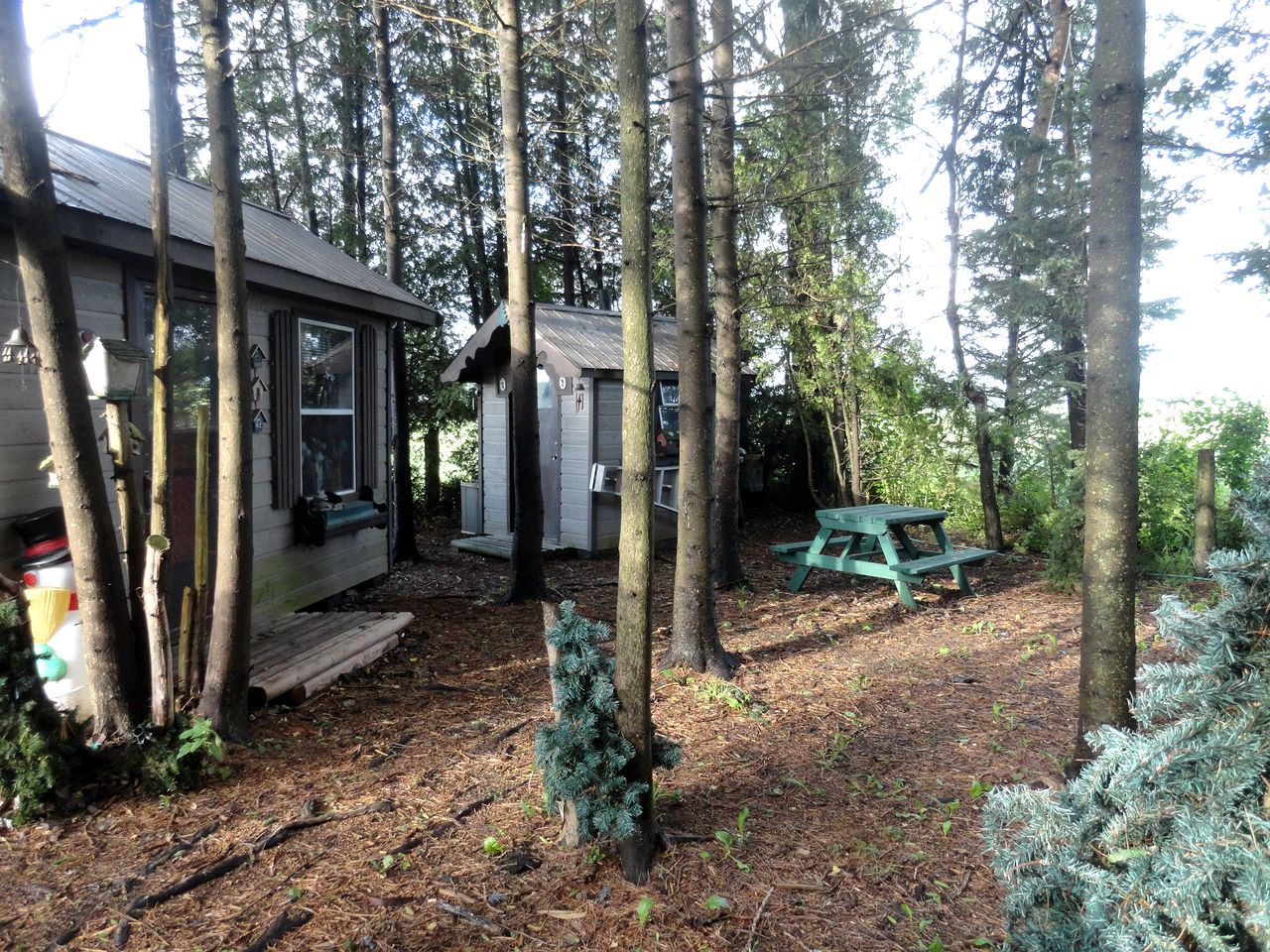 Cute Cozy Tiny House Surrounded by Trees for a Unique Couples Escape in Mt Forest, Ontario