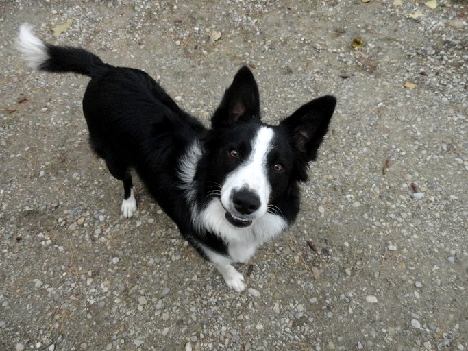 Tiny Houses (Canada, --, Ontario)