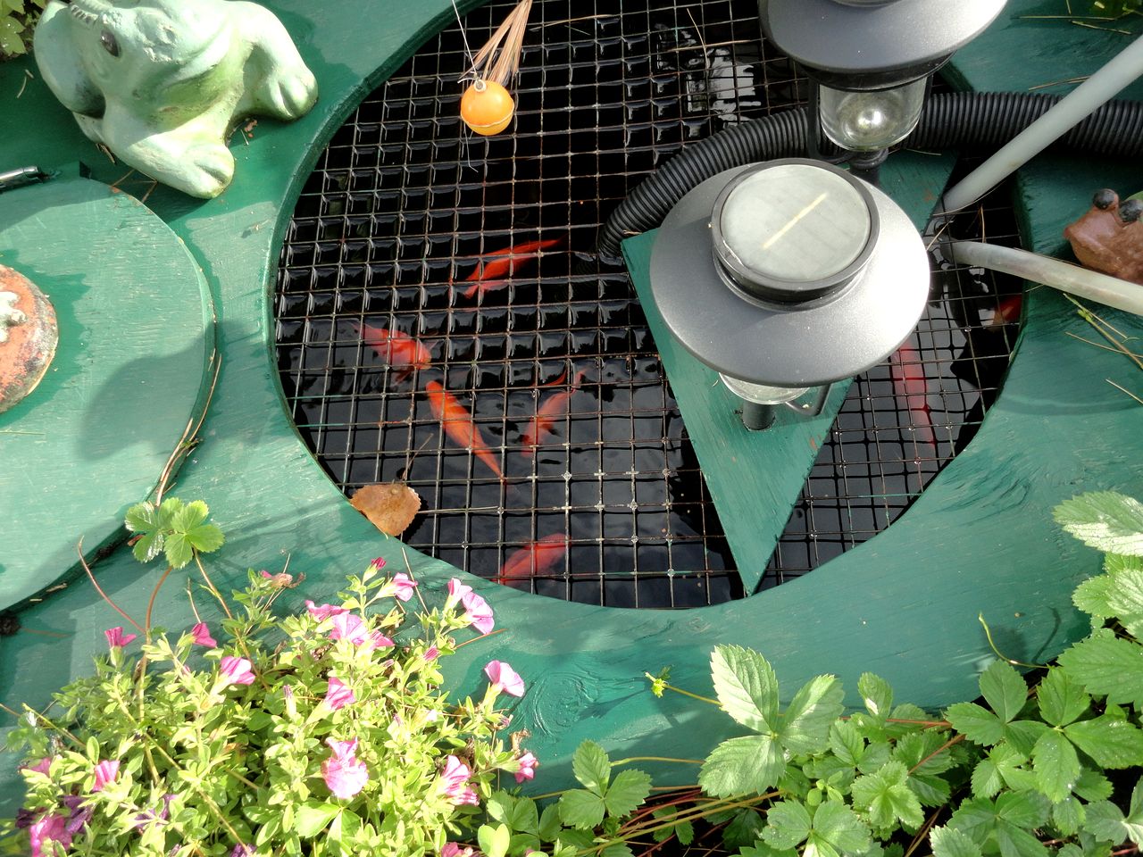 Cute Cozy Tiny House Surrounded by Trees for a Unique Couples Escape in Mt Forest, Ontario