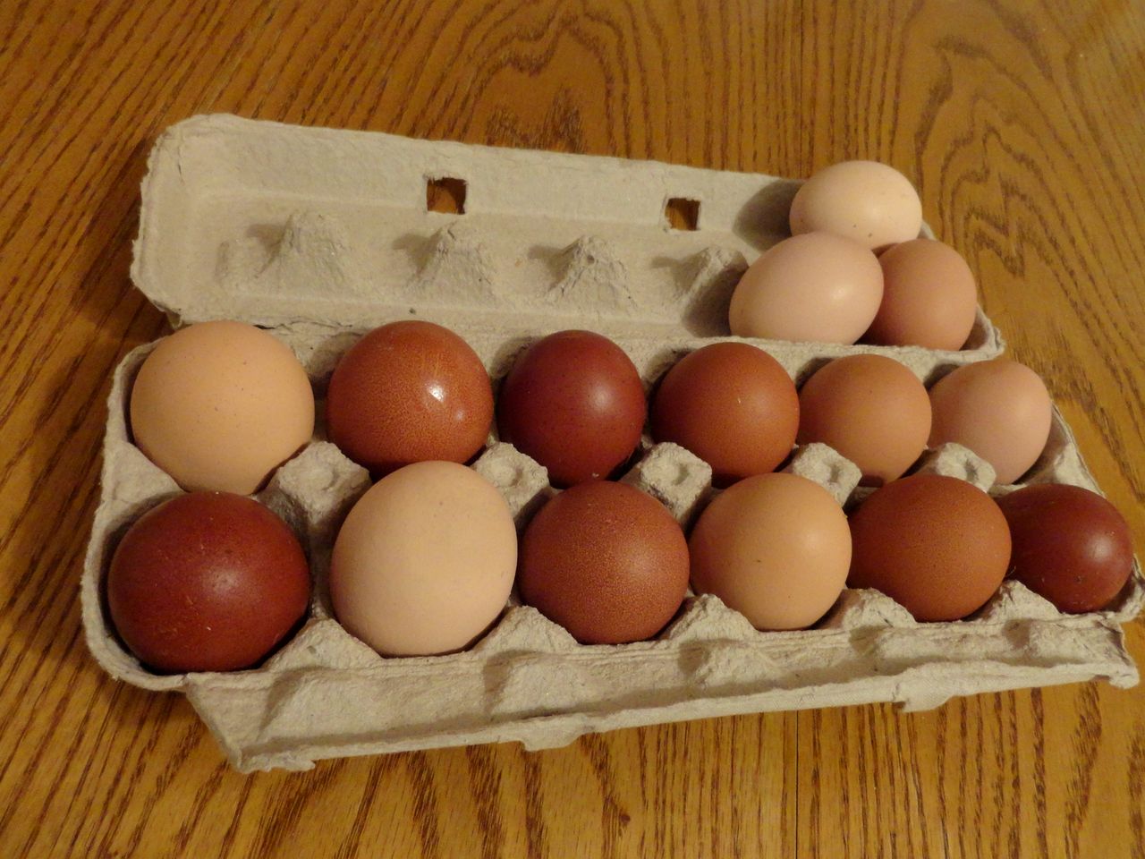 Cute Cozy Tiny House Surrounded by Trees for a Unique Couples Escape in Mt Forest, Ontario