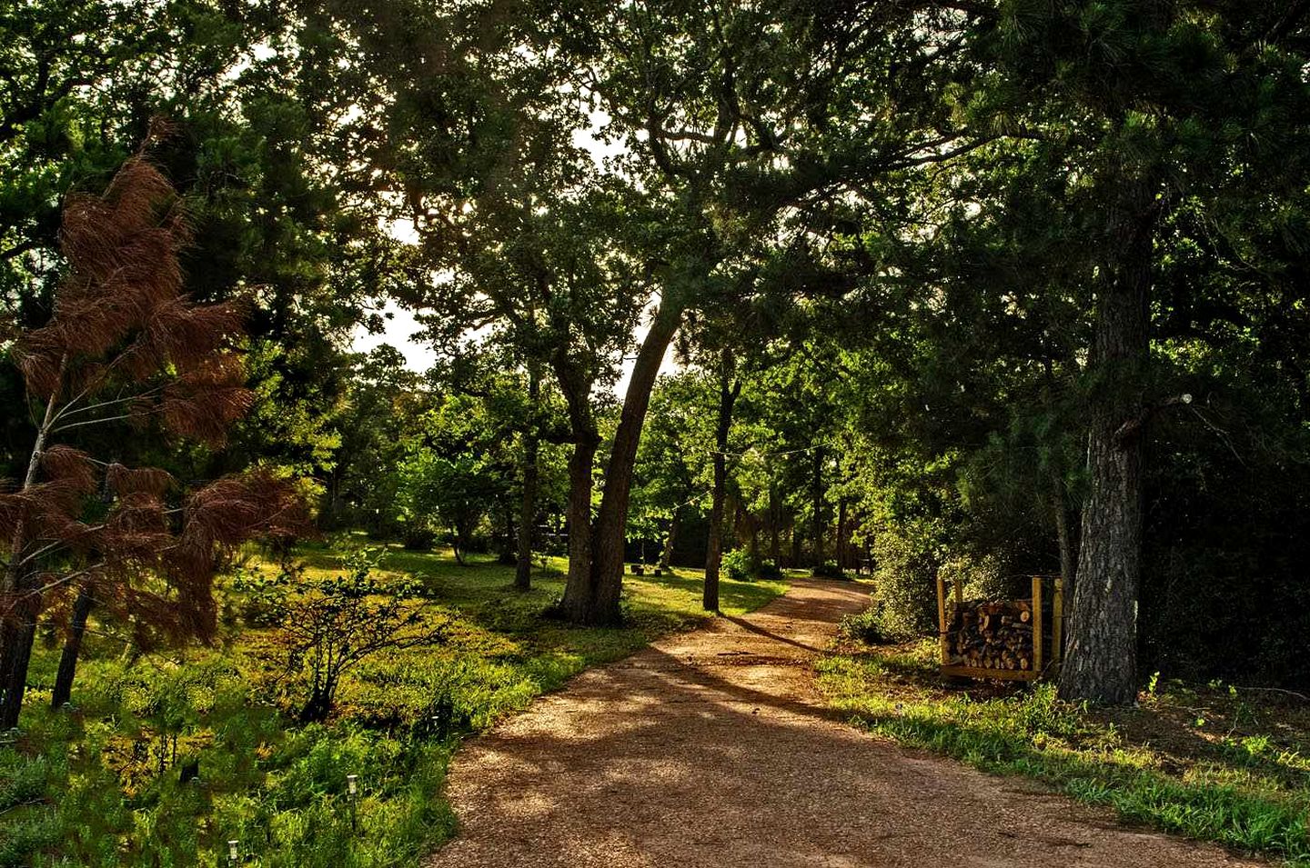 Scenic Glamping Tent Stay with Cozy Lounge Space in Smithville, Texas