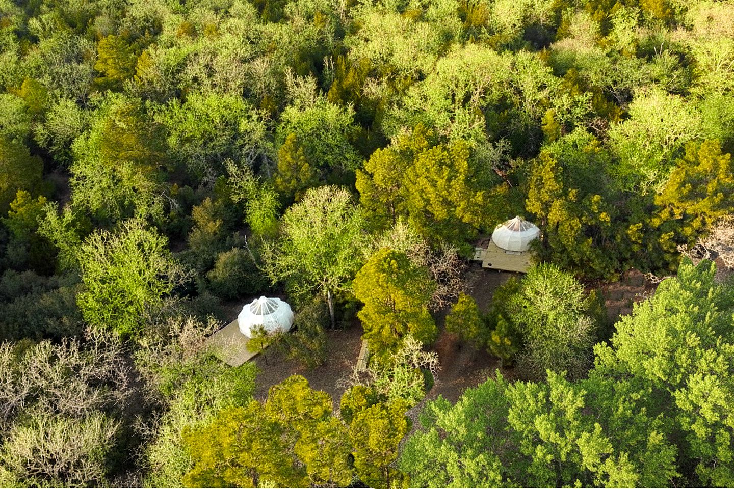 Scenic Glamping Tent Stay with Cozy Lounge Space in Smithville, Texas