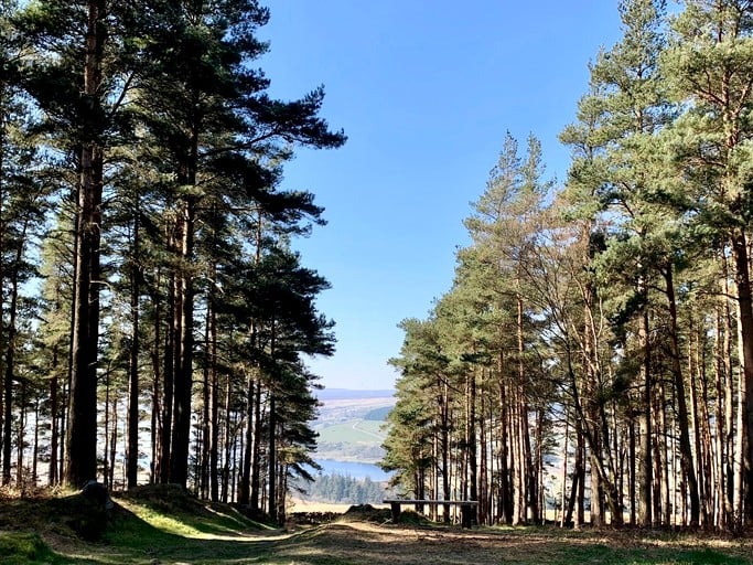 Yurts (United Kingdom, Ripon, England)