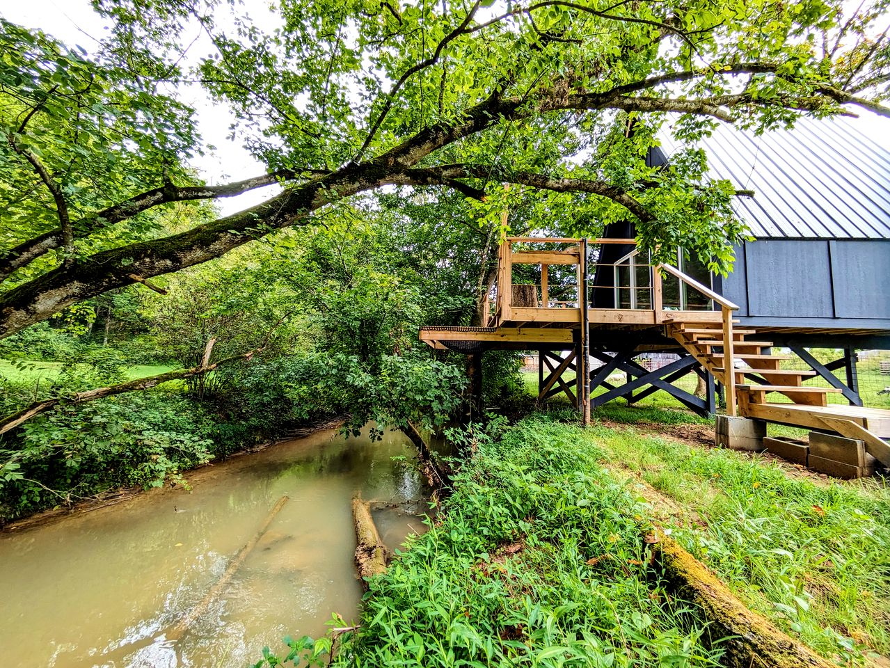 Creekside A-Frame Retreat with Treehouse Views, Hammock Lounge & Indoor-Outdoor Shower in New Port, Tennessee