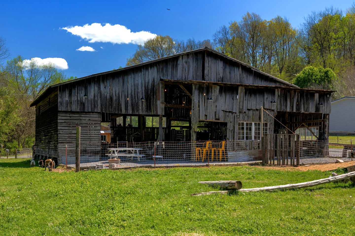 Creekside A-Frame Retreat with Treehouse Views, Hammock Lounge & Indoor-Outdoor Shower in New Port, Tennessee