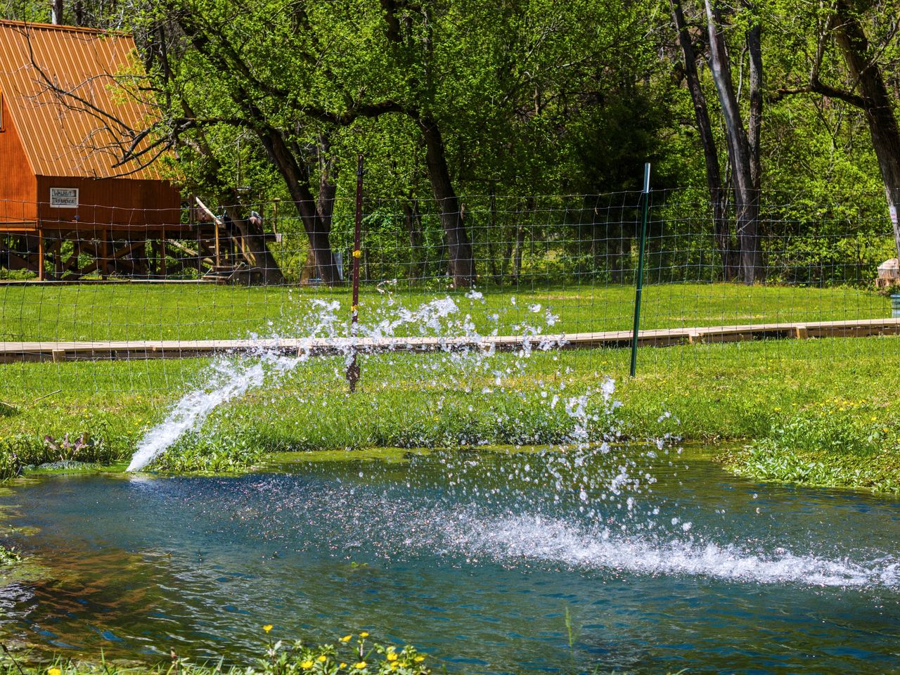 Creekside A-Frame Retreat with Treehouse Views, Hammock Lounge & Indoor-Outdoor Shower in New Port, Tennessee