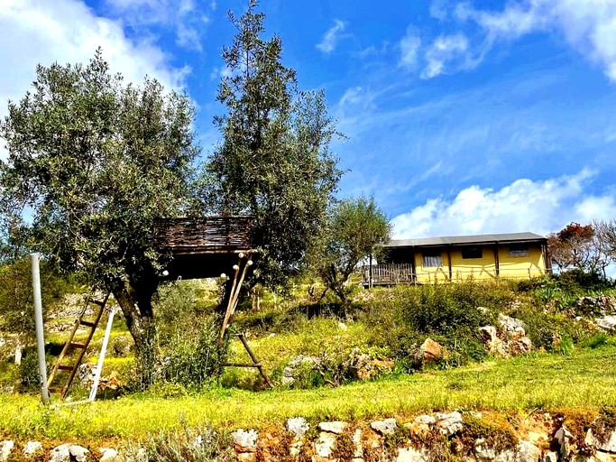 Safari Tents (Portugal, Almoster, Leiria District)