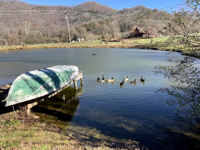 Barns (United States of America, Cullowhee, North Carolina)