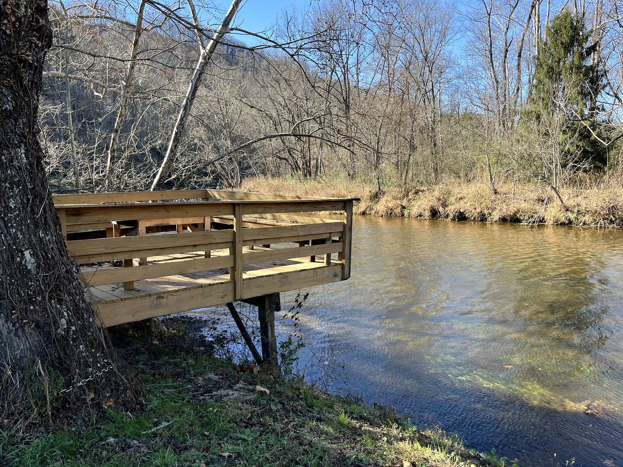 One-of-a-Kind Grain Bin Retreat with Scenic Outdoor Spaces in Cullowhee, North Carolina