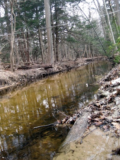 Vacation Rentals (United States of America, Macatawa, Michigan)