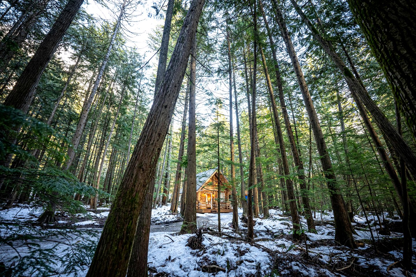Cozy Glamping Cabin with Walking Trails Near Revelstoke, British Columbia