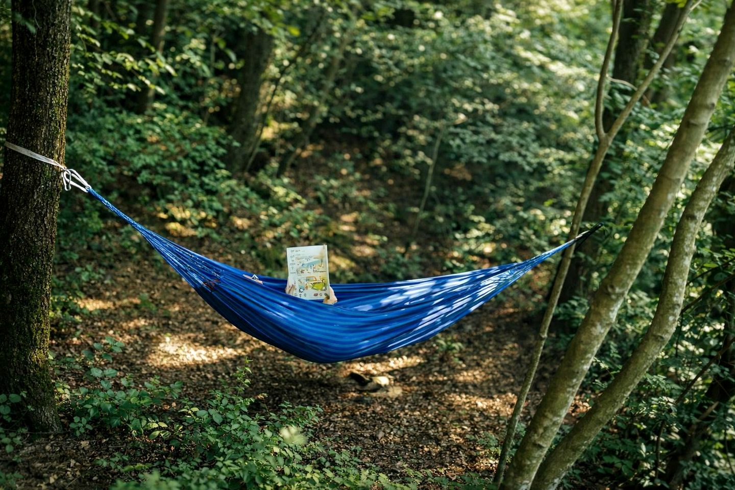 Rustic Comfort Surrounded by Peace and Greenery in Elbasan, Albania