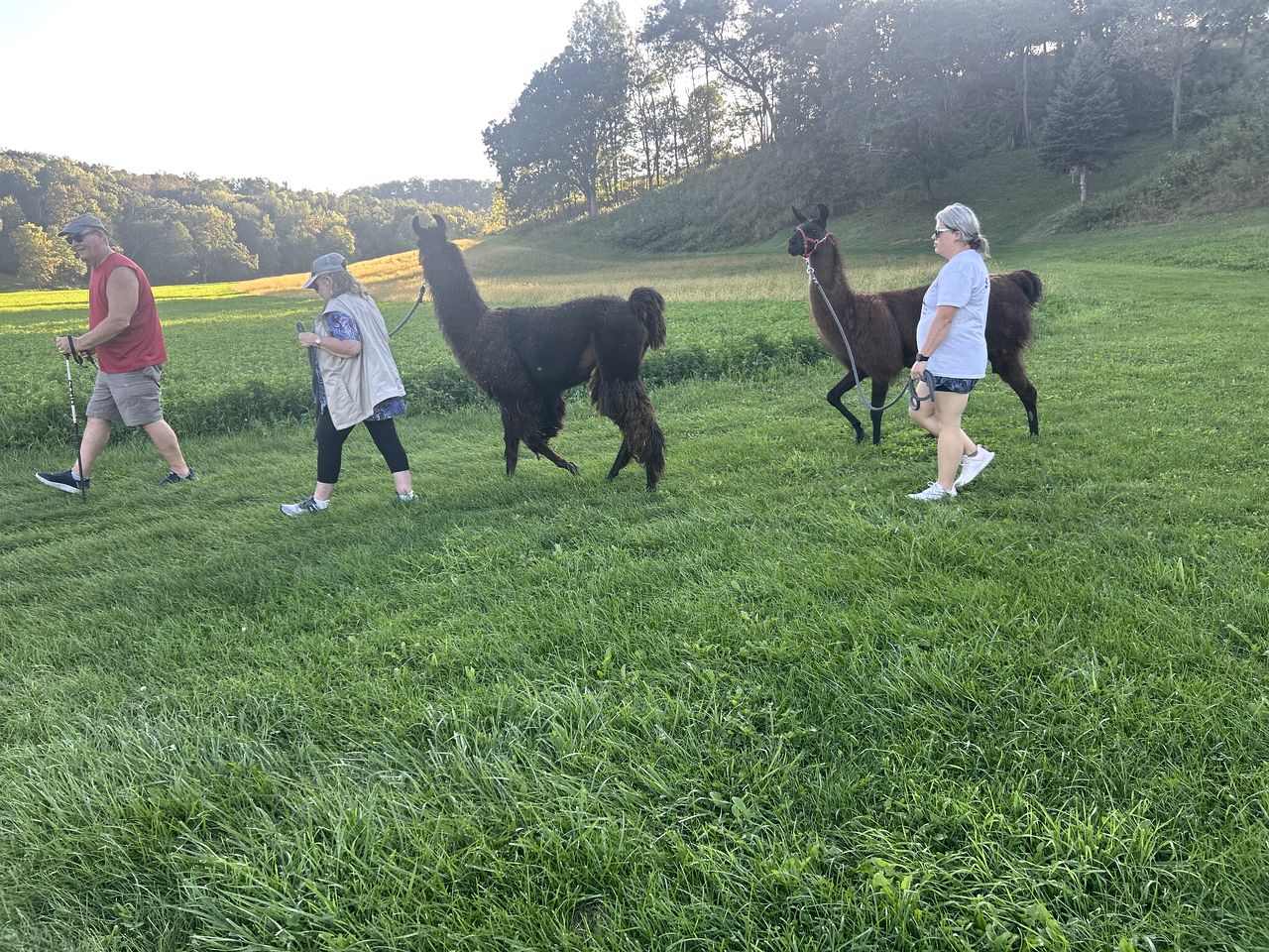Beautiful Scandinavian-Style Log Cabin for a Unique Escape in Nature near Sparta, Wisconsin