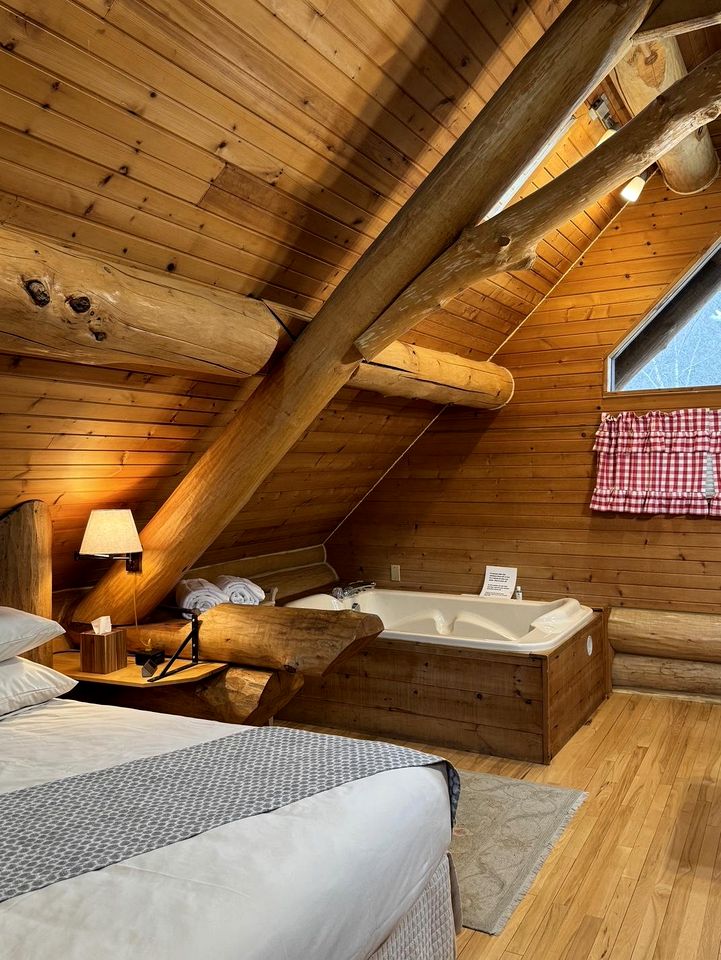 Beautiful Scandinavian-Style Log Cabin for a Unique Escape in Nature near Sparta, Wisconsin